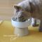 bon moment cat 猫にやさしい 脚付きフードボウル／ボンモマンキャット【送料無料】