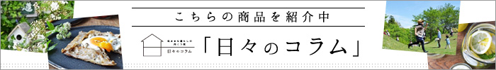 日々のコラム