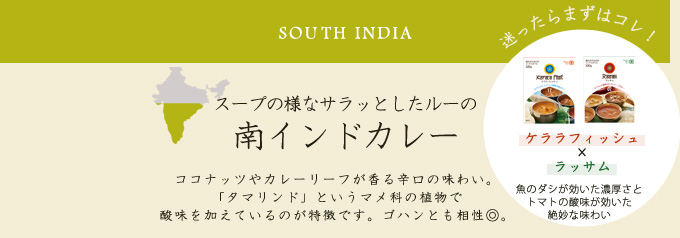 スープの様なサラッとしたルーの南インドカレー