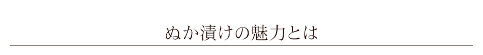 ぬか漬けの魅力とは