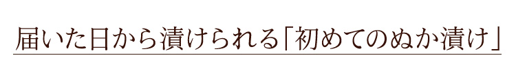 届いた日から漬けられます「初めてのぬか漬け」を応援