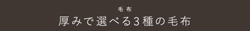 毛布 朝ベッドから出られなくなる毛布