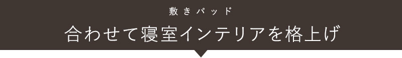 敷きパッド 夜が待ち遠しくなる敷きパッド