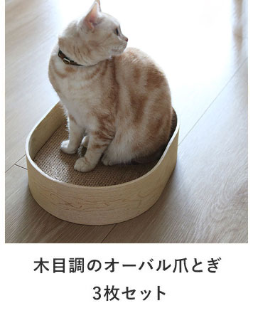 bon moment cat 爪とぎ