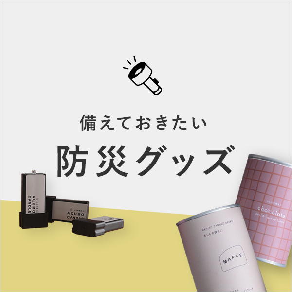 イザ！のために準備と見直し