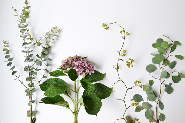 【本日の花便り】　秋色あじさいでスワッグ作り　前編