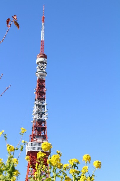 【おさんぽ手帖】　今日は節分　ぶらり豆まきに