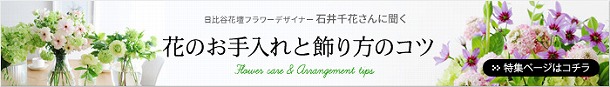 【フラワーデザイナー石井千花さんに聞く、お花のお手入れと飾り方のコツ・1】　基本のお手入れ