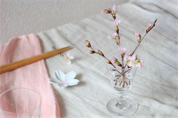 雨の日でも大丈夫。おうちでお花見をしよう！