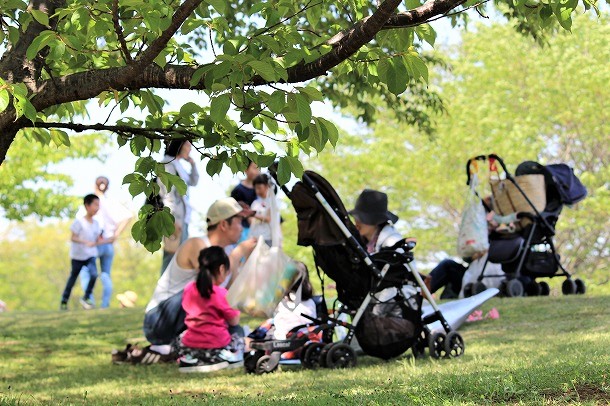 【おさんぽ手帖】　GWはぶらり益子陶器市さんぽ