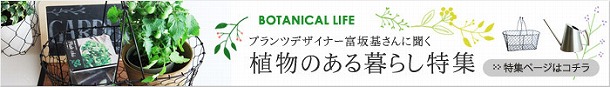 【プランツデザイナー富阪基さんに聞く植物のある暮らし・2】 　まずは小さな空間から　植物を愉しむ飾り方