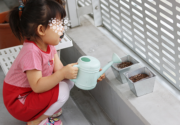 【子どもと育てる】小さな家庭菜園はじめました