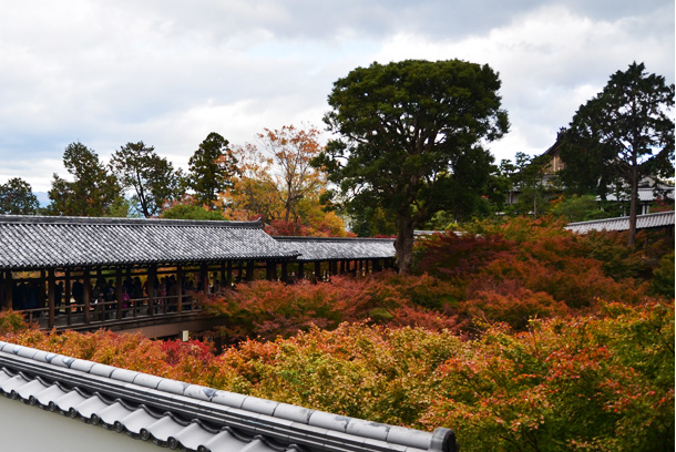 紅葉シーズン！東福寺で紅葉狩り