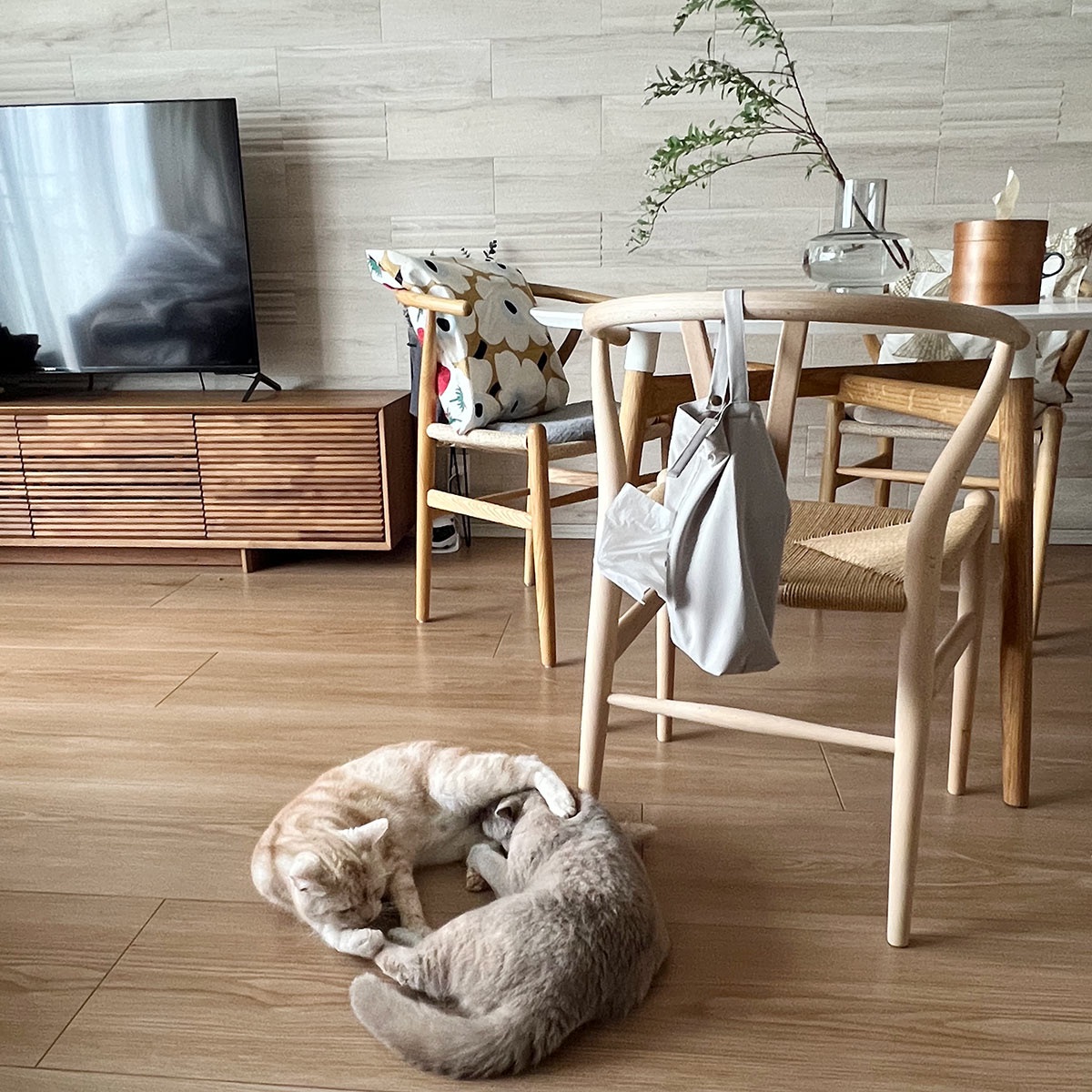 猫飼い＆マンション＆フルタイム共働きのお掃除最適解！マーナの「タッチレスワイパー」使用レポ