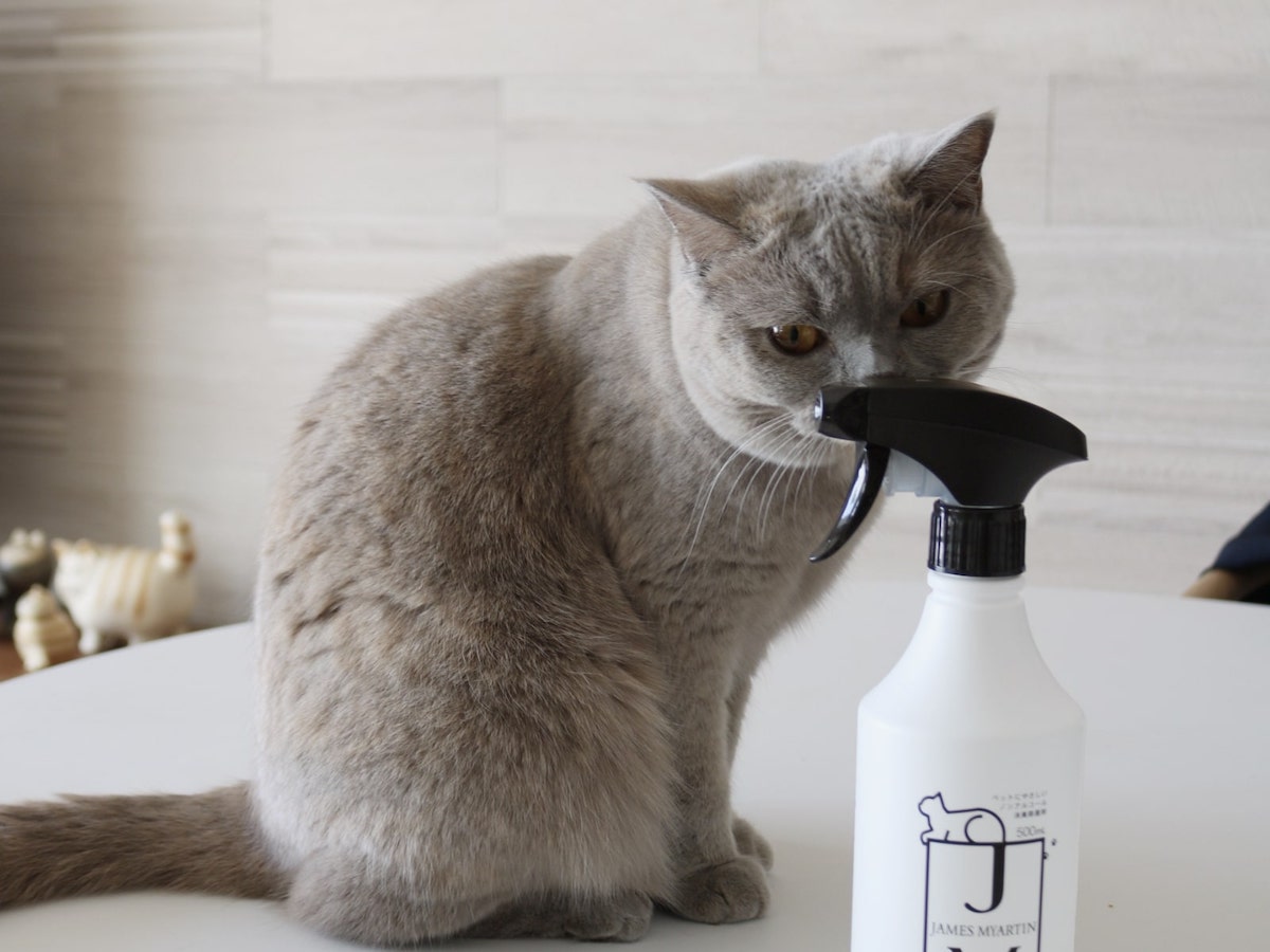 舐めても安心の消臭除菌スプレー！？ペットにやさしい『ジェームズ・ミャーティン』誕生