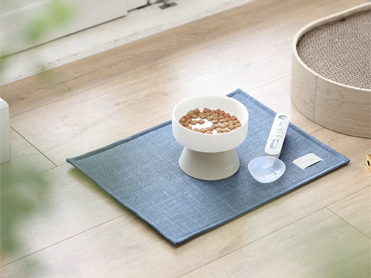 猫のためのボンモマン「bon moment cat」ついに始動！猫飼いスタッフが本気で考えたニャンコ溺愛グッズを、インスタグラマーさんもいざ体験！
