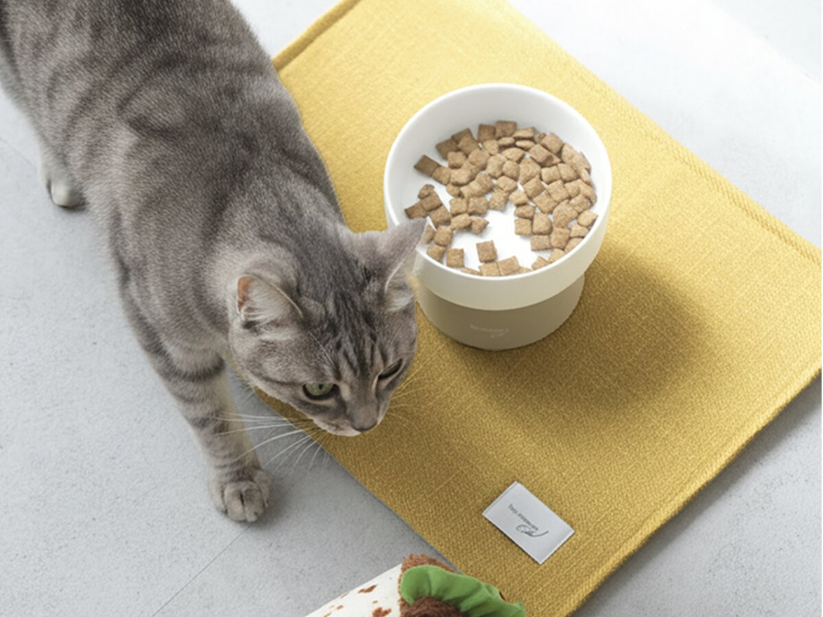 猫のためのボンモマン「bon moment cat」ついに始動！猫飼いスタッフが本気で考えたニャンコ溺愛グッズを、インスタグラマーさんもいざ体験！
