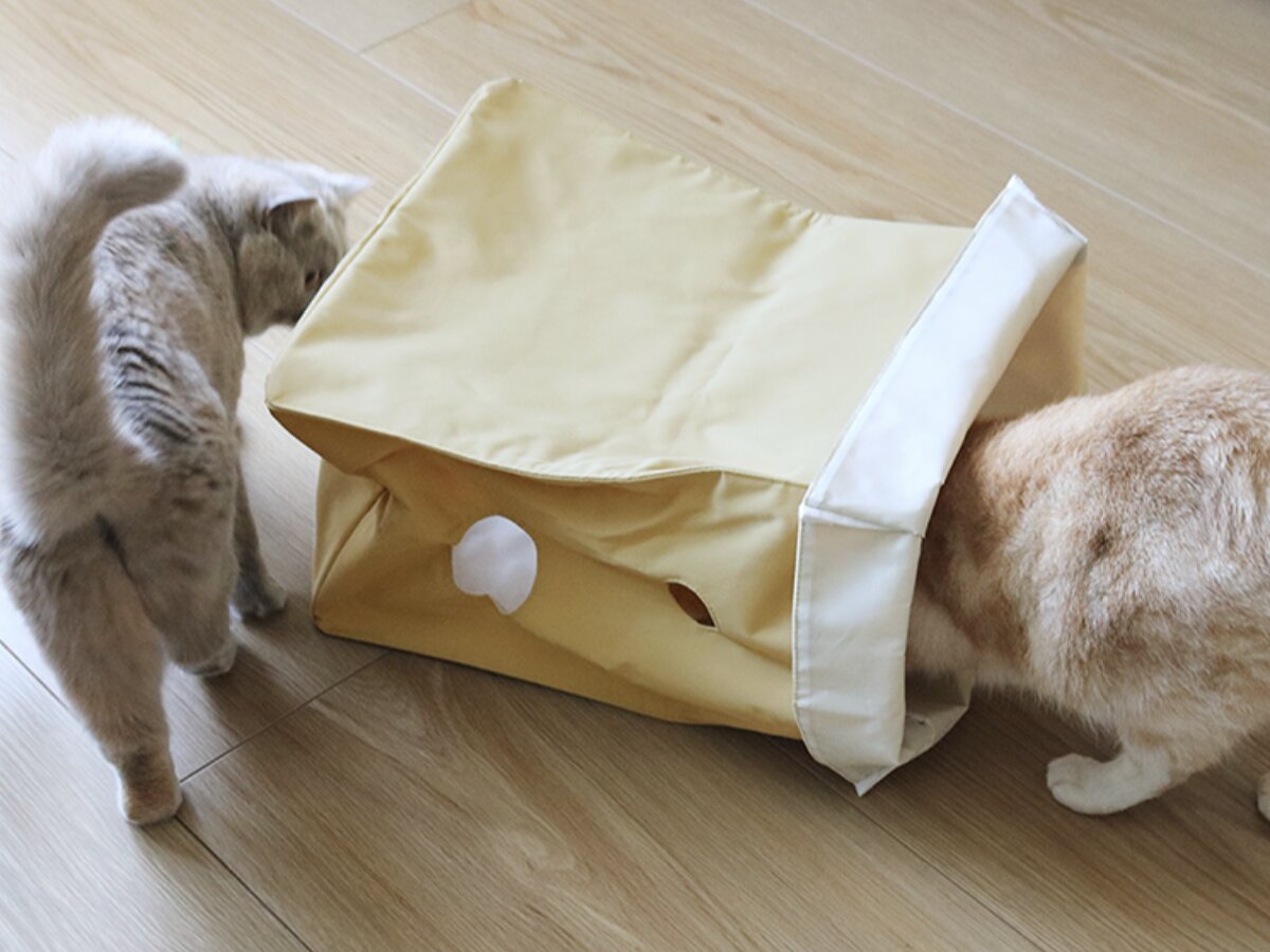 【第2弾】猫と飼い主の「なかよし度」向上計画！猫好きバイヤーのイチオシグッズ４選
