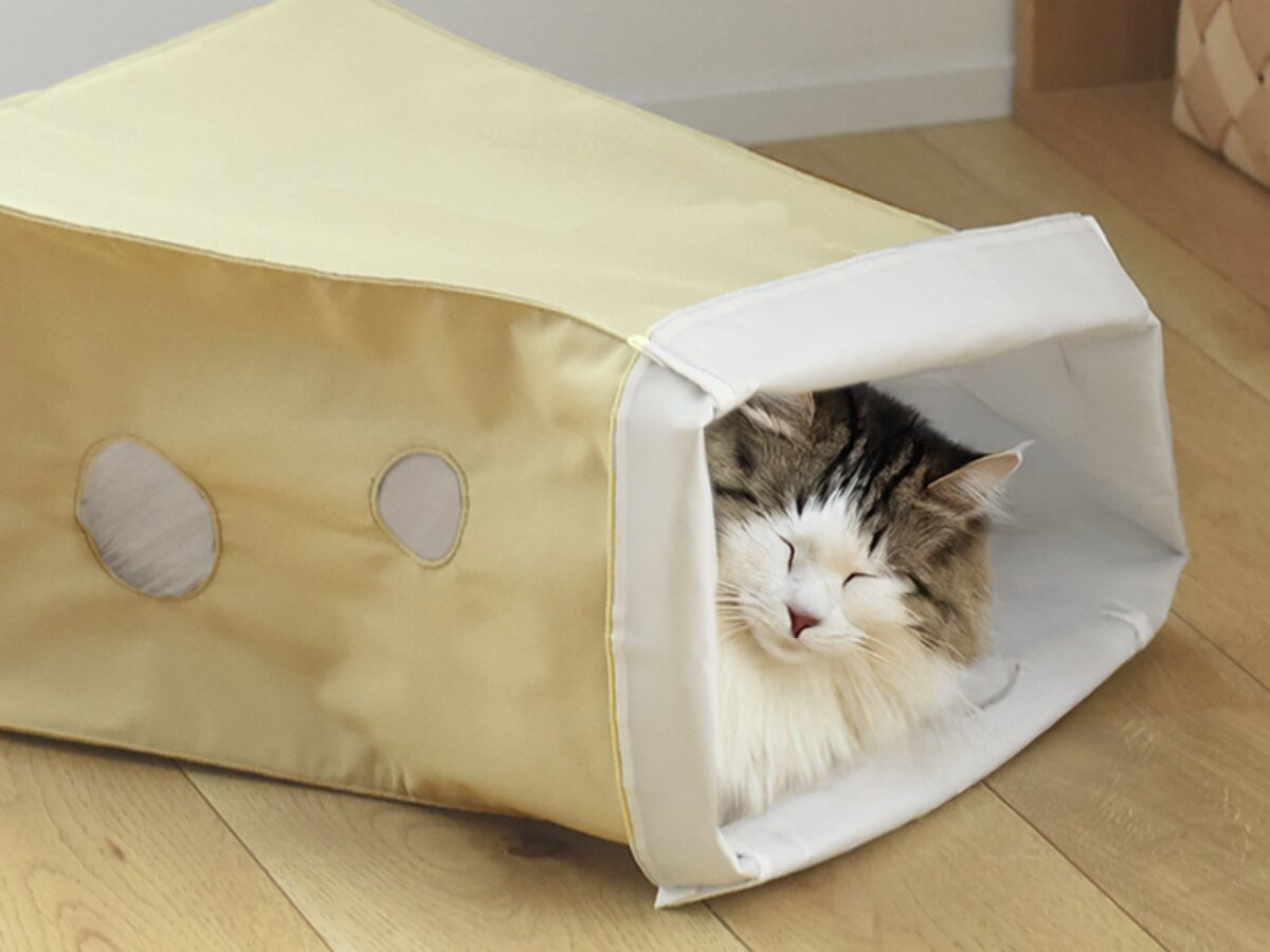【第2弾】猫と飼い主の「なかよし度」向上計画！猫好きバイヤーのイチオシグッズ４選