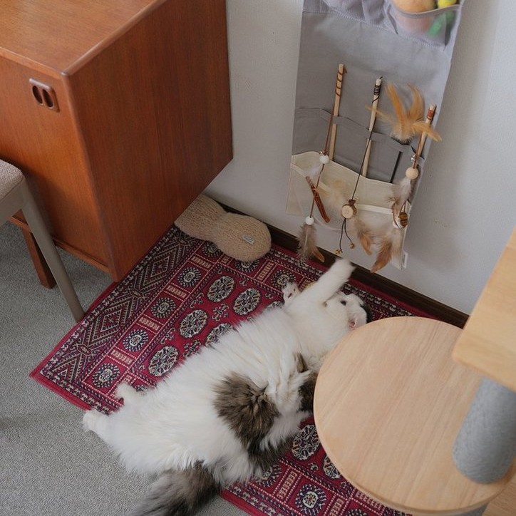 収納しづらい“猫じゃらし”のごちゃつきは専用収納で解決！愛猫家インスタグラマーさんの「おもちゃ」＆「ケアグッズ」収納術