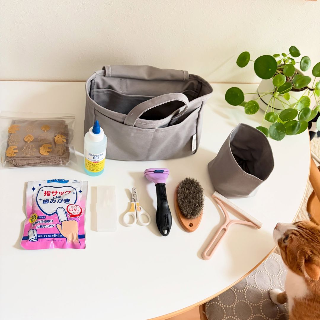 収納しづらい“猫じゃらし”のごちゃつきは専用収納で解決！愛猫家インスタグラマーさんの「おもちゃ」＆「ケアグッズ」収納術