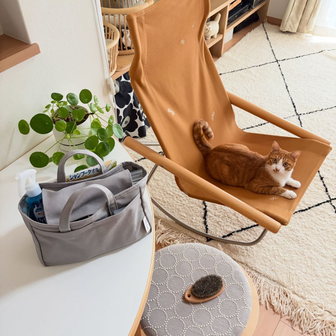 収納しづらい“猫じゃらし”のごちゃつきは専用収納で解決！愛猫家インスタグラマーさんの「おもちゃ」＆「ケアグッズ」収納術