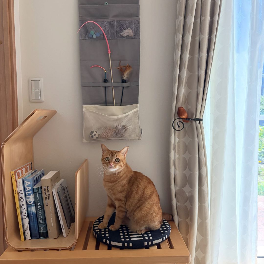 収納しづらい“猫じゃらし”のごちゃつきは専用収納で解決！愛猫家インスタグラマーさんの「おもちゃ」＆「ケアグッズ」収納術