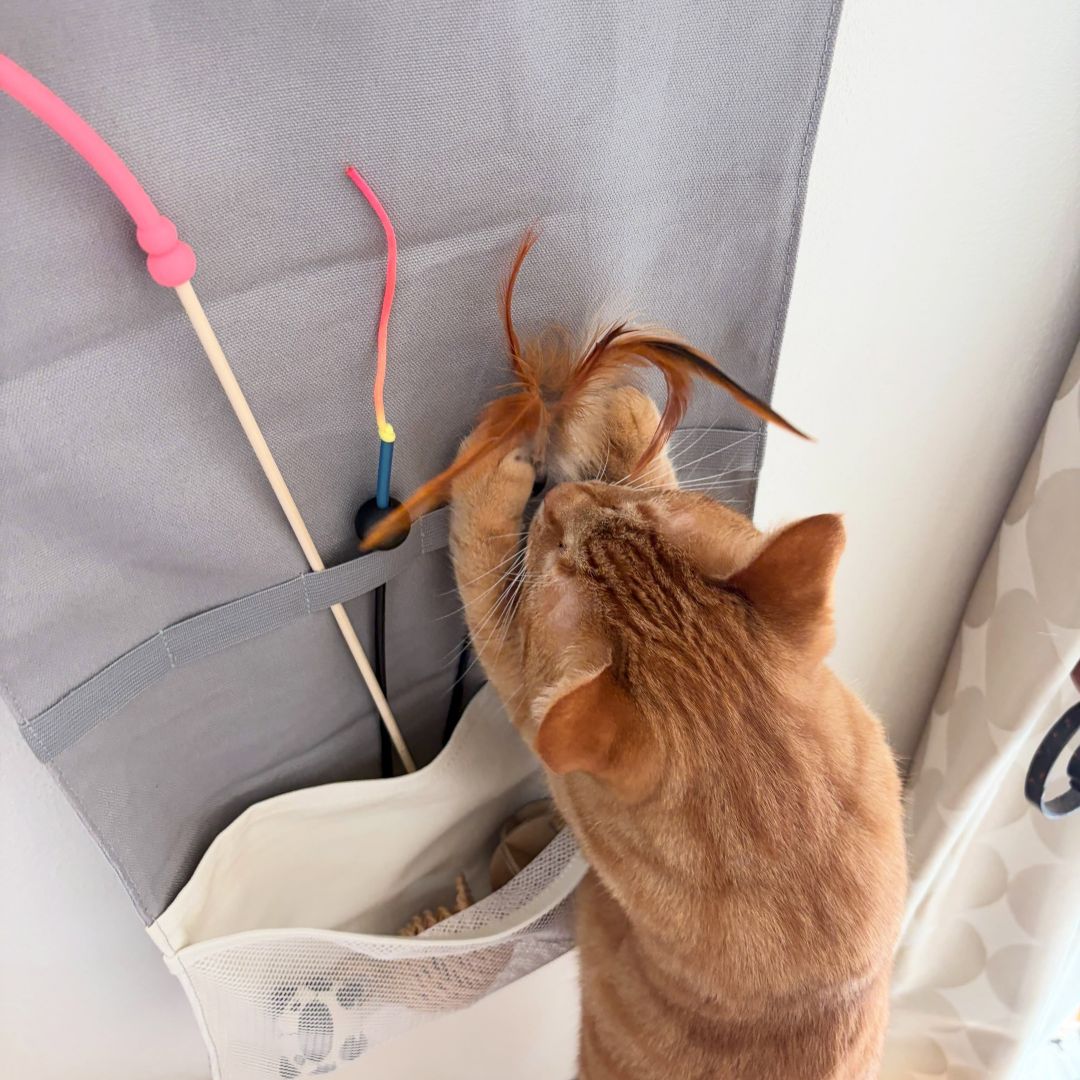 収納しづらい“猫じゃらし”のごちゃつきは専用収納で解決！愛猫家インスタグラマーさんの「おもちゃ」＆「ケアグッズ」収納術