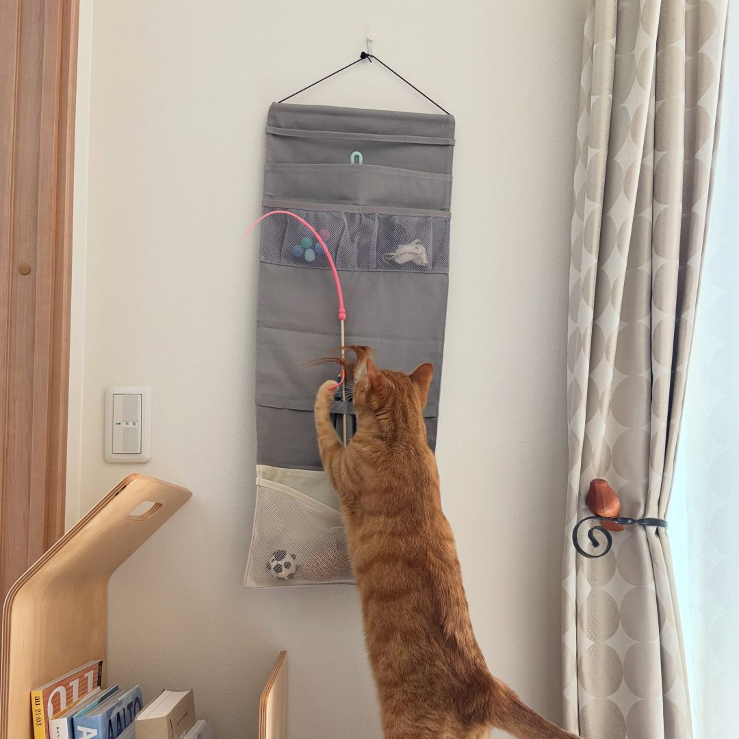 収納しづらい“猫じゃらし”のごちゃつきは専用収納で解決！愛猫家インスタグラマーさんの「おもちゃ」＆「ケアグッズ」収納術