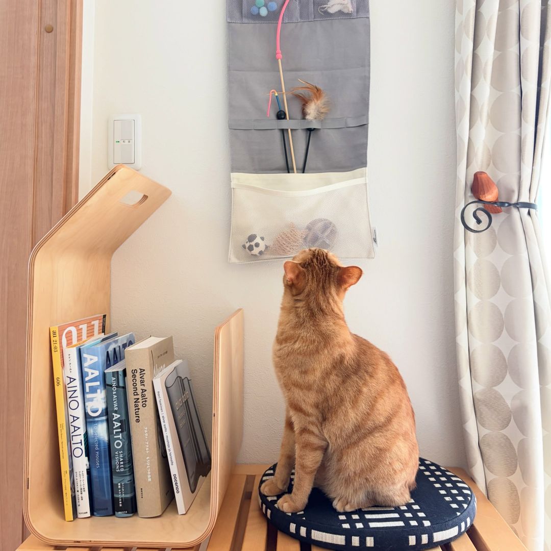 収納しづらい“猫じゃらし”のごちゃつきは専用収納で解決！愛猫家インスタグラマーさんの「おもちゃ」＆「ケアグッズ」収納術