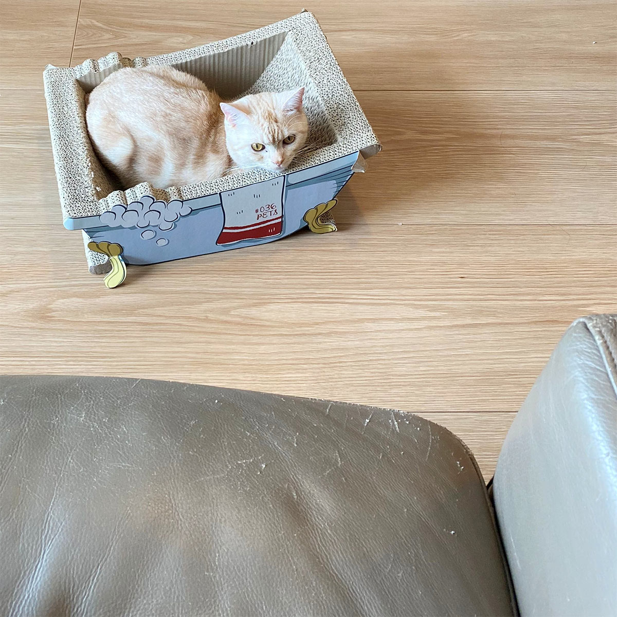 心ゆくまで爪とぎ欲求を！愛猫のガリガリ具合を愛でるのも楽しい、爪とぎクッション（登場イベント開催中！）