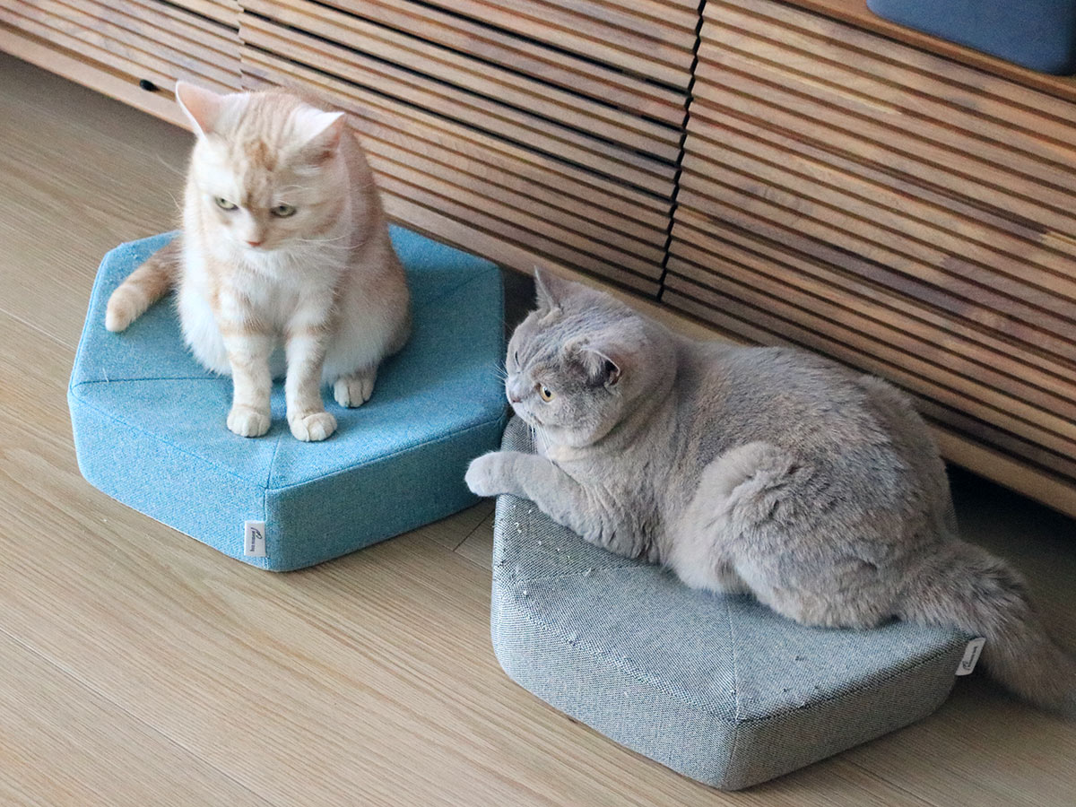 心ゆくまで爪とぎ欲求を！愛猫のガリガリ具合を愛でるのも楽しい、爪とぎクッション（登場イベント開催中！）