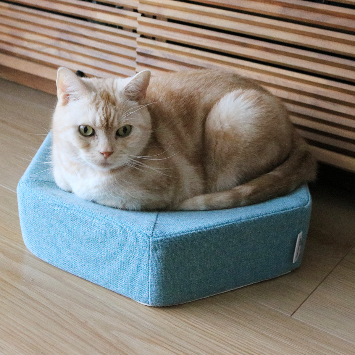 心ゆくまで爪とぎ欲求を！愛猫のガリガリ具合を愛でるのも楽しい、爪とぎクッション（登場イベント開催中！）
