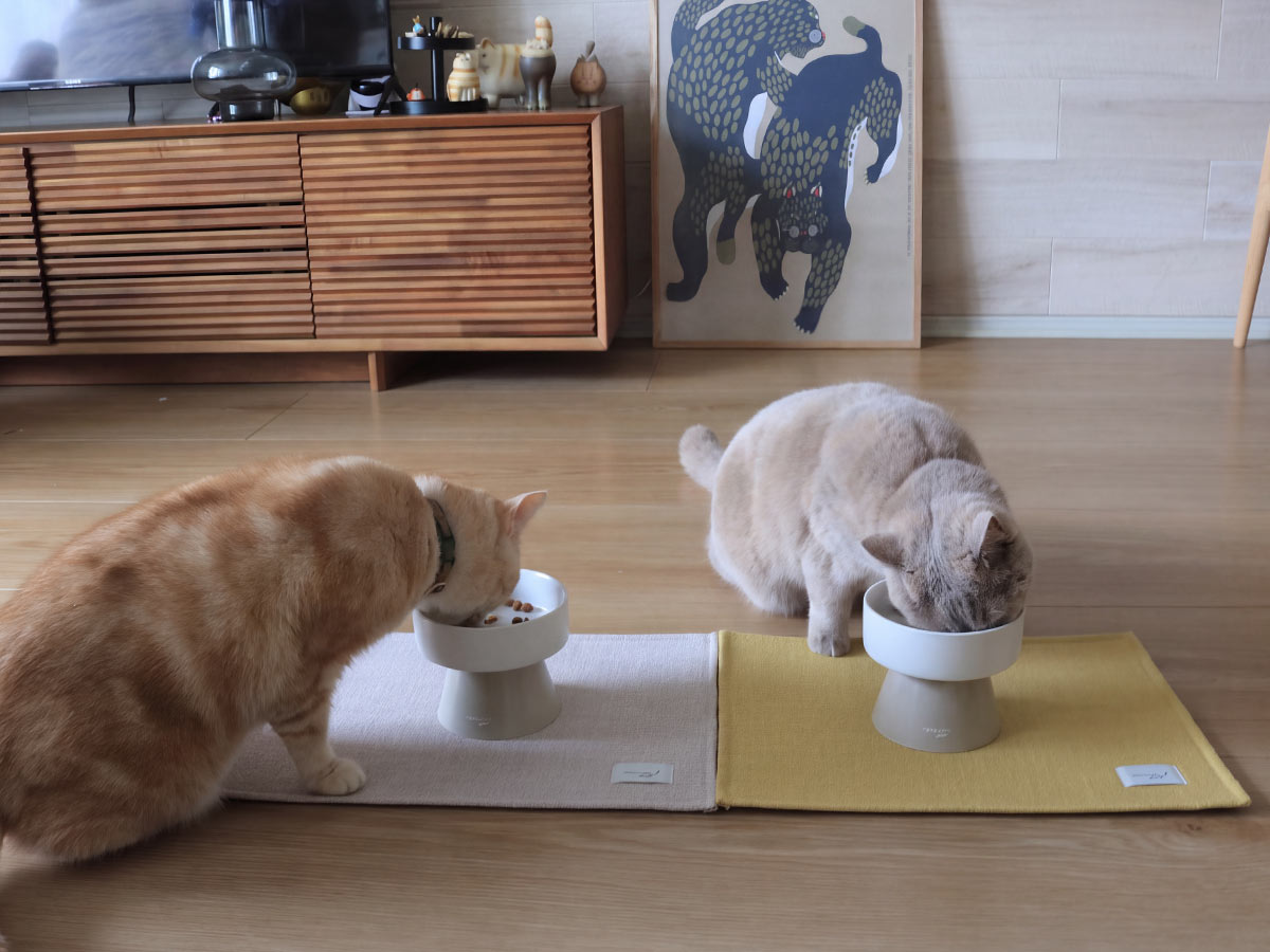 心ゆくまで爪とぎ欲求を！愛猫のガリガリ具合を愛でるのも楽しい、爪とぎクッション（登場イベント開催中！）